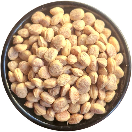 22KxB2xr9ElwfKKsx512