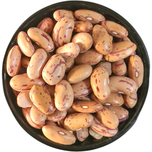 8DTxGX9fmn8XV5pGx512