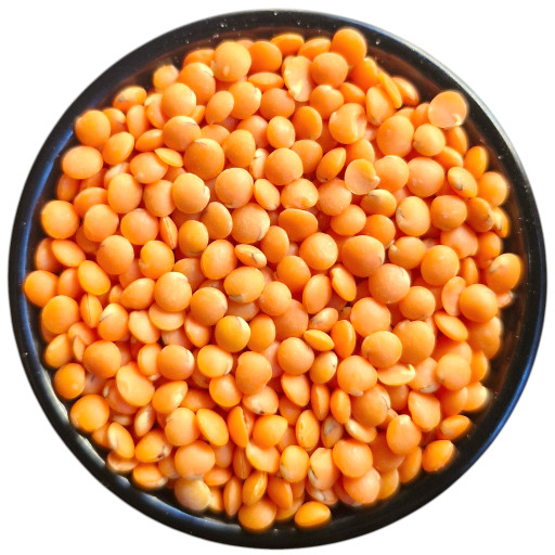 BuJ9xoD2FUBtWiszx512