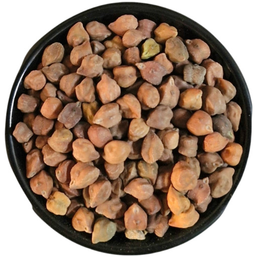 TtZU2MRPovEIdUeVx512