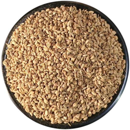 ZwZPqrrmqD1nHqyVx512