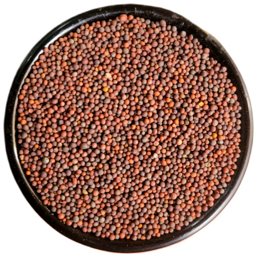 jbWcJFdgqV3hHXB1x512