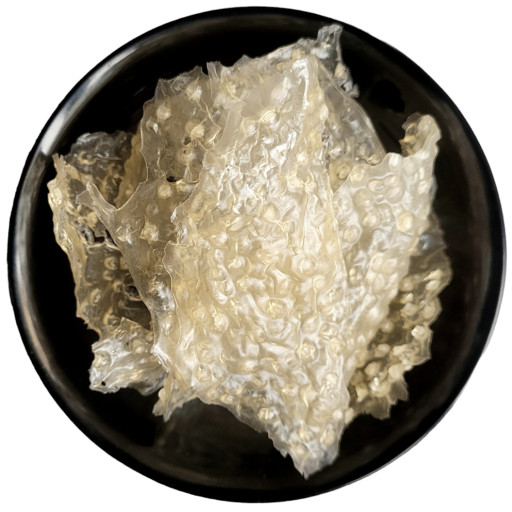 nHvyh7JJJlQuZqwPx512