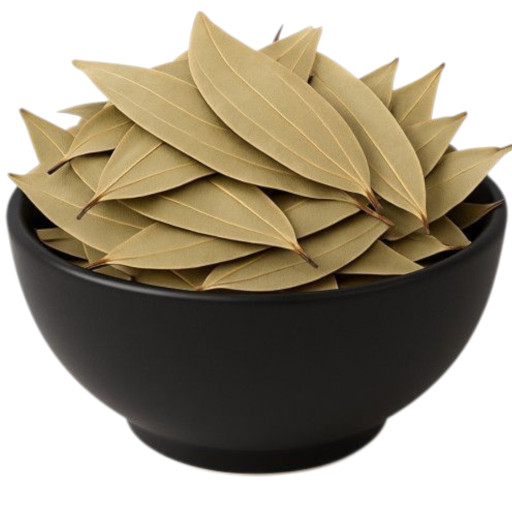 u9jD3G9yYeJ8yPubx512